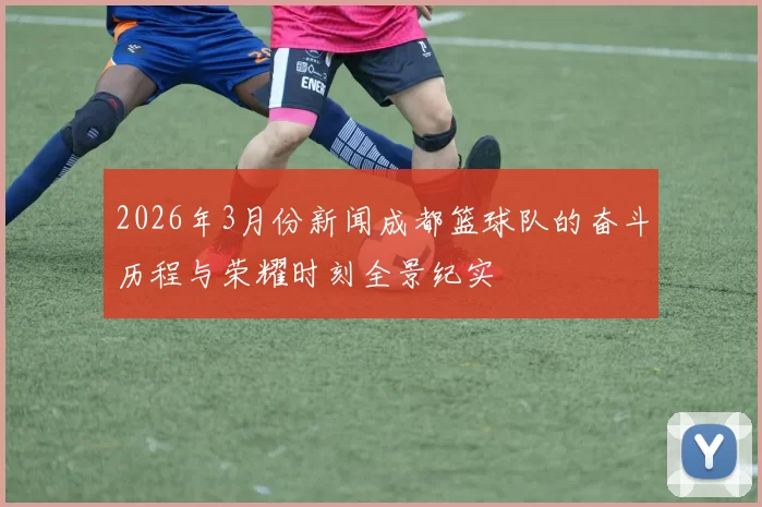 2026年3月份新闻成都篮球队的奋斗历程与荣耀时刻全景纪实